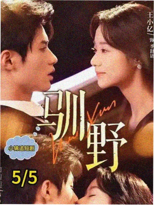 城市褶皱 剧集海报 琪琪影视